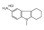 (9-methyl-5,6,7,8-tetrahydrocarbazol-3-yl)azanium,chloride Structure