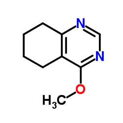 4-Methoxy-5,6,7,8-tetrahydroquinazoline Structure