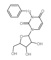 [3-[3,4-dihydroxy-5-(hydroxymethyl)oxolan-2-yl]-2,6-dioxopyrimidin-1-yl]-phenylmercury结构式