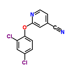 2-(2,4-dichlorophenoxy)pyridine-4-carbonitrile结构式