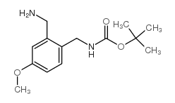 TERT-BUTYL 2-(AMINOMETHYL)-4-METHOXYBENZYLCARBAMATE picture