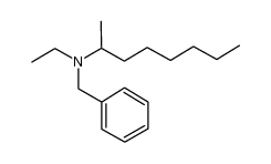 N-benzyl-N-ethylheptan-2-amine结构式