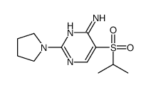 5-(ISOPROPYLSULFONYL)-2-TETRAHYDRO-1H-PYRROL-1-YLPYRIMIDIN-4-AMINE picture