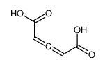 Allene-1,3-dicarboxylic acid Structure