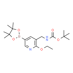 5-(Boc-Aminomethyl)-6-ethoxypyridine-3-boronic acid pinacol ester结构式