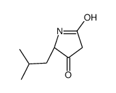 (5S)-5-(2-methylpropyl)pyrrolidine-2,4-dione结构式