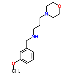 (3-METHOXY-BENZYL)-(3-MORPHOLIN-4-YL-PROPYL)-AMINE picture