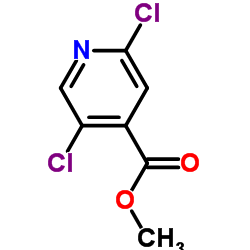2,5-二氯异烟酸甲酯图片