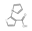 2-(1H-吡咯-1-基)噻吩-3-羧酸结构式