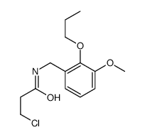 3-chloro-N-[(3-methoxy-2-propoxyphenyl)methyl]propanamide结构式