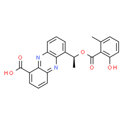 (+)-6-[1-[(2-Hydroxy-6-methylbenzoyl)oxy]ethyl]-1-phenazinecarboxylic acid结构式