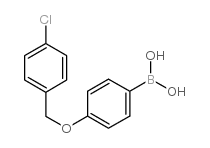 4-(4'-CHLOROBENZYLOXY)PHENYLBORONIC ACID picture