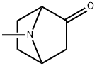 7-Methyl-7-Azabicyclo[2.2.1]heptan-2-one结构式