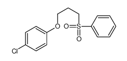 1-[3-(benzenesulfonyl)propoxy]-4-chlorobenzene结构式