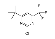 4-tert-butyl-2-chloro-6-(trifluoromethyl)pyrimidine结构式