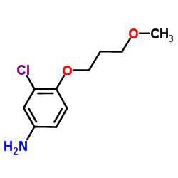 3-Chloro-4-(3-methoxypropoxy)aniline Structure