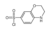 3,4-dihydro-2H-1,4-benzoxazine-7-sulfonyl chloride结构式