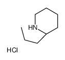 2-propylpiperidine hydrochloride picture