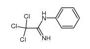 2,2,2-trichloro-N-phenyl-acetamidine结构式