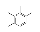 1,2,3,6-tetramethylpyridin-1-ium结构式