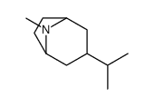 Tropane, 3alpha-isopropyl- (7CI)结构式