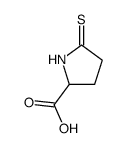 Proline, 5-thioxo- (9CI) Structure