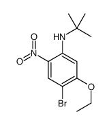 4-Bromo-N-(tert-butyl)-5-ethoxy-2-nitroaniline picture