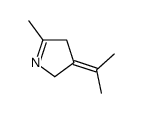 2H-Pyrrole,3,4-dihydro-5-methyl-3-(1-methylethylidene)-(9CI)结构式