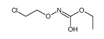 ethyl N-(2-chloroethoxy)carbamate Structure