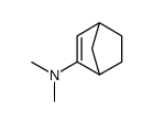 2-Dimethylaminobicyclo<2.2.1>hept-2-ene Structure