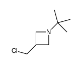 1-tert-butyl-3-(chloromethyl)azetidine结构式