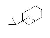 9-tert-butyl-9-azabicyclo[3.3.1]nonane Structure