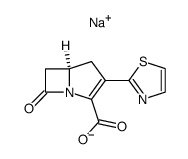 Sodium 2-(2-thiazolyl)-1-carbapen-2-em-3-carboxylate结构式