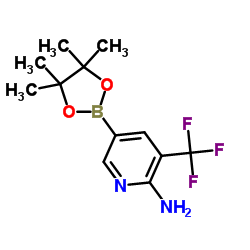 5-(4,4,5,5-tetramethyl-1,3,2-dioxaborolan-2-yl)-3-(trifluoromethyl)pyridin-2-amine structure