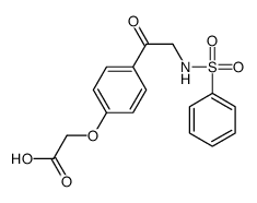 2-[4-[2-(benzenesulfonamido)acetyl]phenoxy]acetic acid Structure