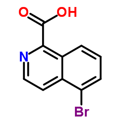 5-Bromoisoquinoline-1-carboxylic acid picture