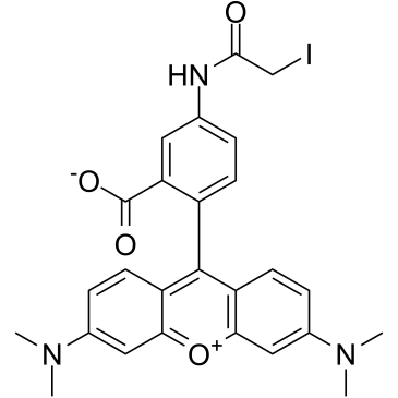 Tetramethylrhodamine-5-iodoacetamide picture