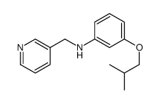 3-(2-methylpropoxy)-N-(pyridin-3-ylmethyl)aniline Structure