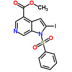 Methyl 2-iodo-1-(phenylsulfonyl)-1H-pyrrolo[2,3-c]pyridine-4-carboxylate结构式
