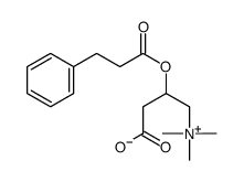 3-phenylpropionylcarnitine picture