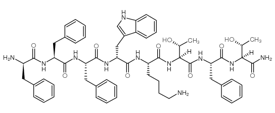 BIM 23052 Structure