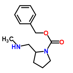 Benzyl 2-[(methylamino)methyl]-1-pyrrolidinecarboxylate结构式