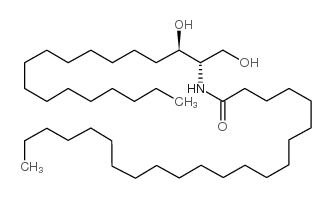 C22 Dihydroceramide picture