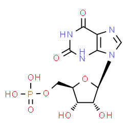 poly(xanthylic acid) Structure