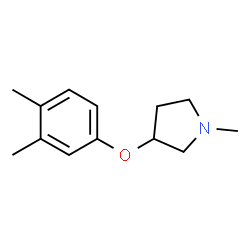 1-METHYL-3-(3,4-XYLYLOXY)-PYRROLIDINE结构式