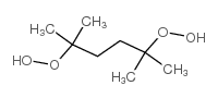 2,5-Dimethyl-2,5-bis-(hydroperoxy)hexane picture