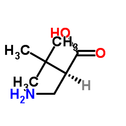 (R)-3-叔丁基-beta-丙氨酸结构式
