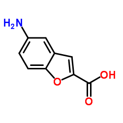 5-Amino-1-benzofuran-2-carboxylic acid picture