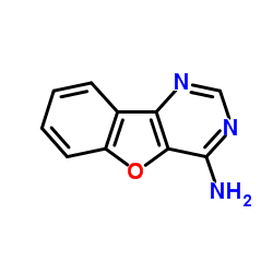 [1]Benzofuro[3,2-d]pyrimidin-4-amine Structure