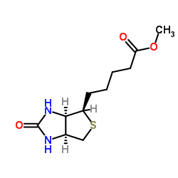 methyl 5-[(1S,2S,5R)-7-oxo-3-thia-6,8-diazabicyclo[3.3.0]oct-2-yl]pent anoate picture